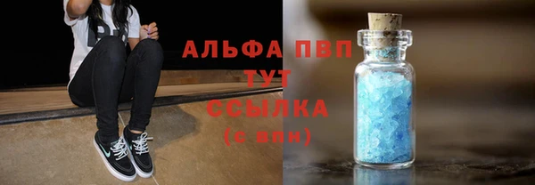 СК Коряжма