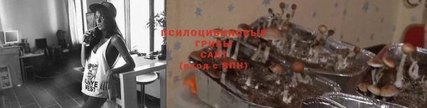 ECSTASY Костерёво