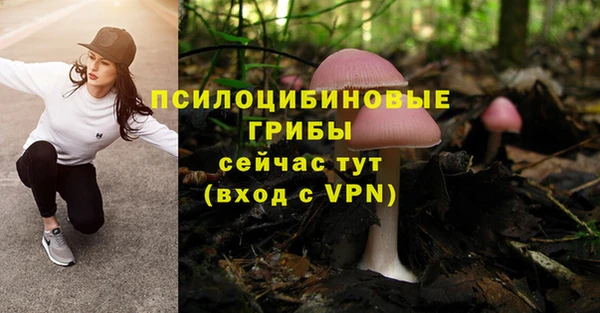 ECSTASY Костерёво