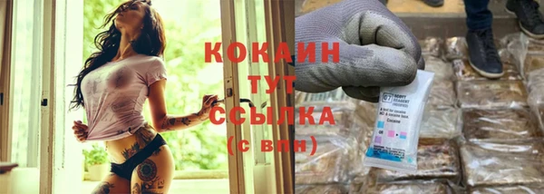 СК Коряжма