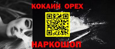 шишки Кингисепп