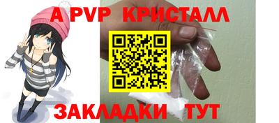 шишки Кингисепп