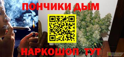 шишки Кингисепп