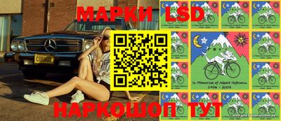 spice Кимры