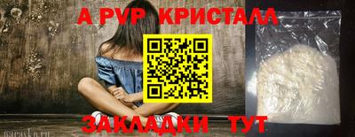 шишки Кингисепп