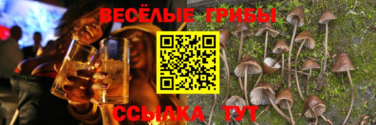 Псилоцибиновые грибы мицелий Магнитогорск