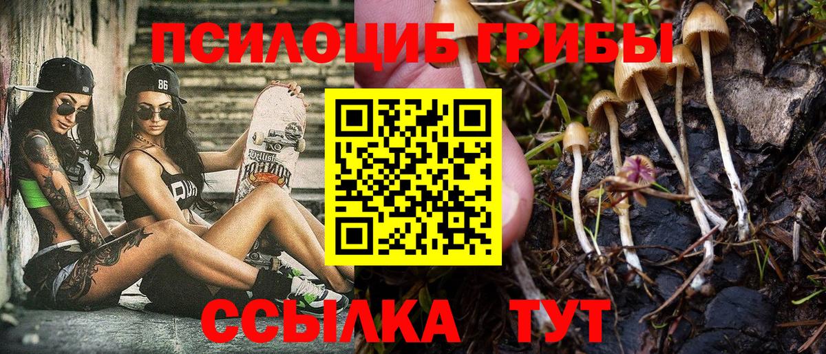 Магнитогорск  Галлюциногенные грибы Cubensis  Вход с VPN 